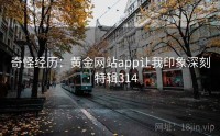 奇怪经历：黄金网站app让我印象深刻 · 特辑314