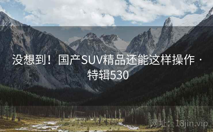 没想到!国产SUV精品还能这样操作 · 特辑530 没想到!国产SUV精品还能这样操作 · 特辑530