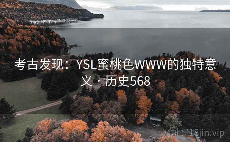 考古发现:YSL蜜桃色WWW的独特意义 · 历史568 考古发现:YSL蜜桃色WWW的独特意义 · 历史568